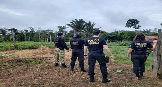 Polícia Federal realiza operação para desarticular crimes ambientais 
