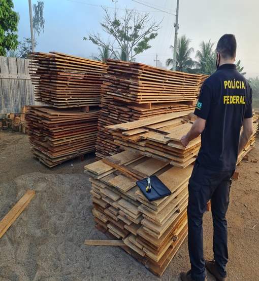 Operação  da PF em madeireiras de RO e AM bloqueia R$ 50 milhões 