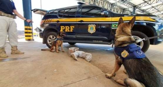 Com dificuldades para andar, duas peruanas são presas em MT levando cocaína