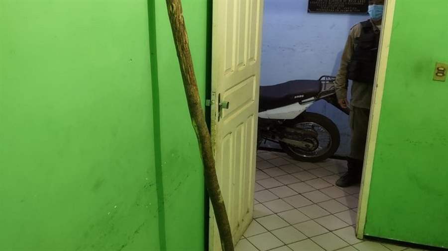 Homem tenta matar o irmão com bastão de madeira e acaba assassinado