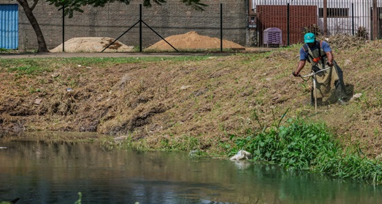 Projeto visa recuperar e despoluir igarapé que corta o Skate Parque