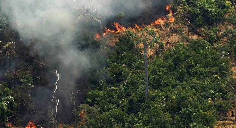 
Amazônia registra o maior número de focos de incêndio em junho em 15 anos
