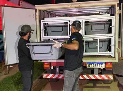 Casal é atacado com facão, homem morre, e mulher fica gravemente ferida