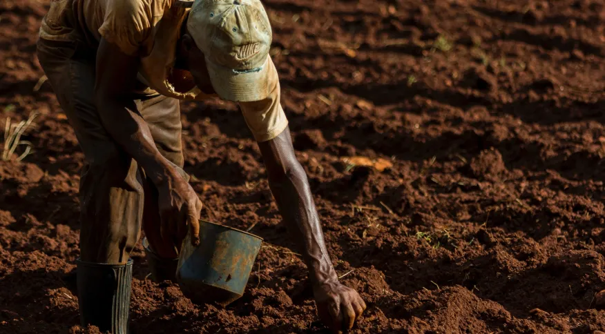 Agronegócio tem superávit de US$ 43,7 bilhões no acumulado do ano, segundo Ipea