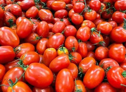 
Preço do tomate quase dobra em 1 ano; entenda por que e se vai continuar caro
