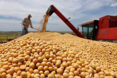 Mercado da Soja cresce e a demanda desperta maior intensidade de produção 