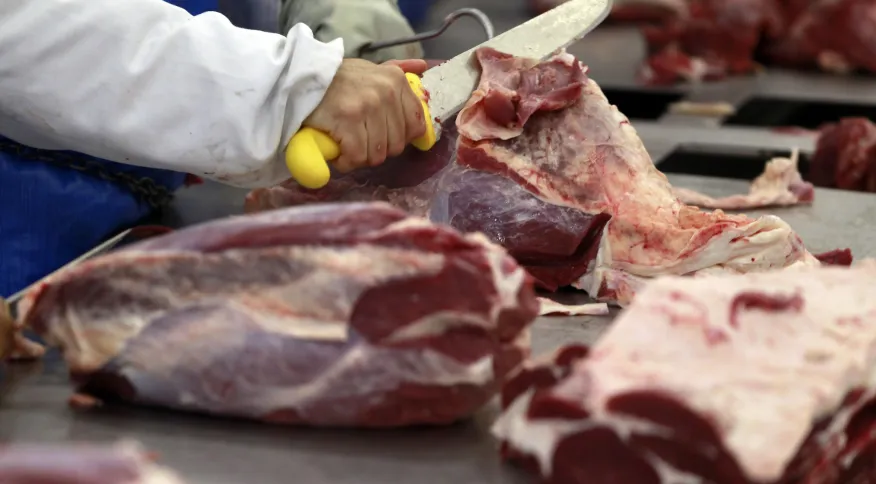 Exportação de carne brasileira aos EUA supera a de principais parceiros americanos pela 1ª vez