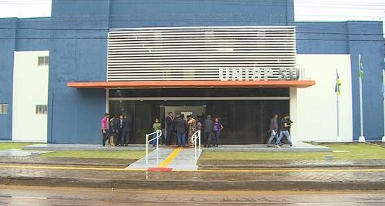 Enxame de abelhas mata cachorro e ataca morador na zona sul
