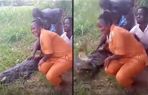 Mulher é mordida gravemente por crocodilo ao tentar tirar foto; veja o vídeo 