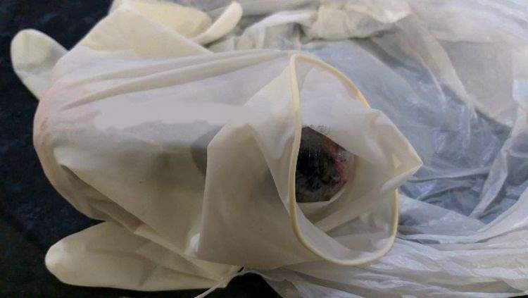 Mulher é flagrada tentando entrar com droga na vagina em presídio 