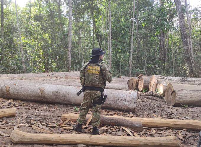 PF deflagra operação contra crimes em Terra Indígena no Cone Sul