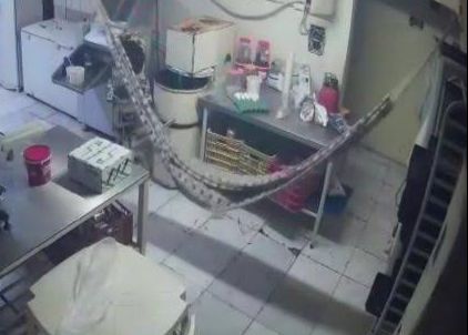 Padeiro é assassinado pelo próprio patrão covardemente por chegar atrasado no trabalho