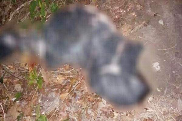 Corpo de idoso é encontrado em avançado estado de decomposição