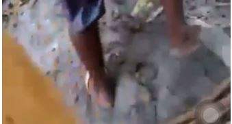 Homem tenta roubar gás de cozinha da casa de idosa mas acaba espancado; veja vídeo