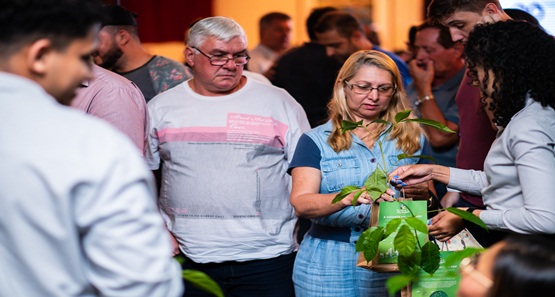 Projeto “Plantar o Futuro” da Sicoob distribui 6,3 mil mudas